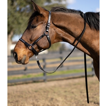 STABLE HALTER & LEAD made from LEATHER
