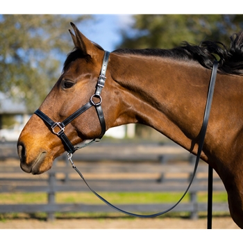 STABLE HALTER & LEAD made from BETA BIOTHANE (Solid Colored)