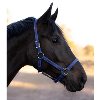 STABLE HALTER & LEAD made from BETA BIOTHANE (Solid Colored)