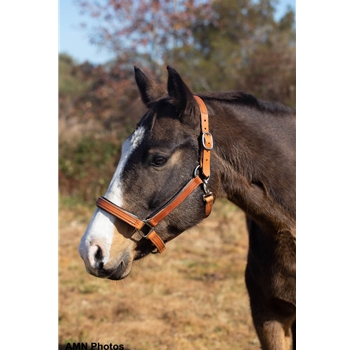 Turnout HALTER & LEAD made from LEATHER 