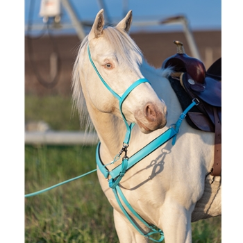 ENGLISH BRIDLE made from Beta Biothane (Solid Colored)