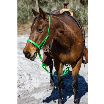 ENGLISH BRIDLE made from Beta Biothane (Solid Colored)