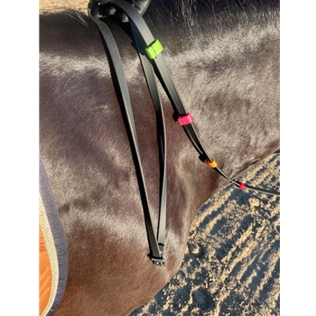 DRESSAGE REINS (Solid Colored) made from BETA BIOTHANE