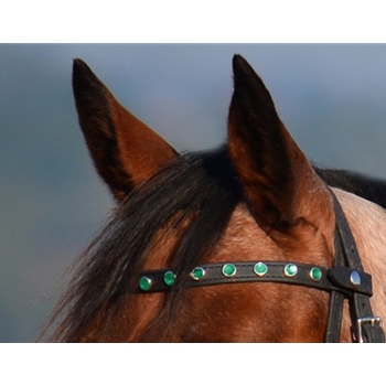 ENGLISH BRIDLE made from Beta Biothane (Solid Colored)