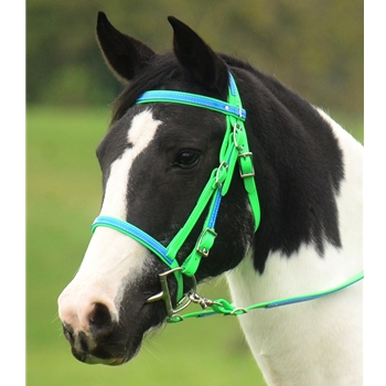 ENGLISH CONVERT-A-BRIDLE made from BETA BIOTHANE (ANY 2 COLOR COMBO