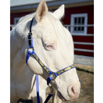 REFLECTIVE Safety HALTER & LEAD with BREAKAWAY LEATHER CROWN made from Beta Biothane 