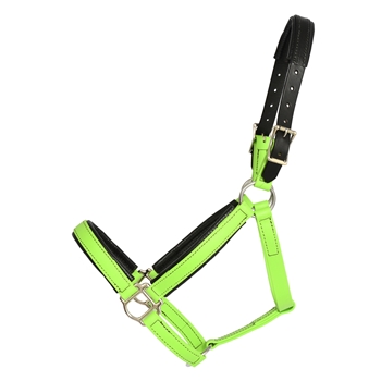 BETA BIOTHANE Safety Halter with Breakaway Leather Crown