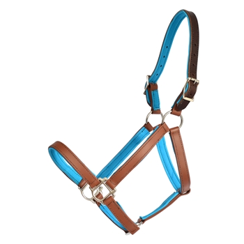 REFLECTIVE Safety HALTER & LEAD with BREAKAWAY LEATHER CROWN made from Beta Biothane 