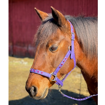 Any Color SAFETY HALTER & LEAD with BREAKAWAY LEATHER TAB made from BETA BIOTHANE (Solid Colored)