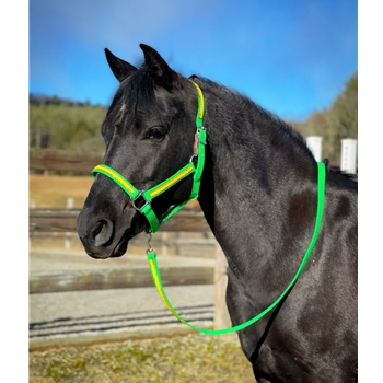 Any Color SAFETY HALTER & LEAD with BREAKAWAY LEATHER TAB made from BETA BIOTHANE (Solid Colored)