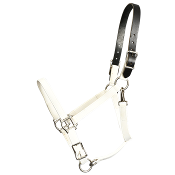 READY MADE - BLACK HALTER Made from Beta Biothane