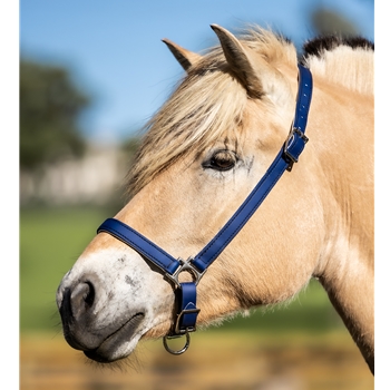 GROOMING HALTER & LEAD made from BETA BIOTHANE (Solid Colored)