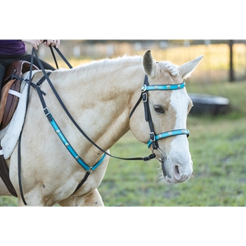 **WHOLESALE/DISCOUNT** Color Overlay with Star Conchos ENGLISH BRIDLE & BREAST COLLAR SET made from BETA BIOTHANE