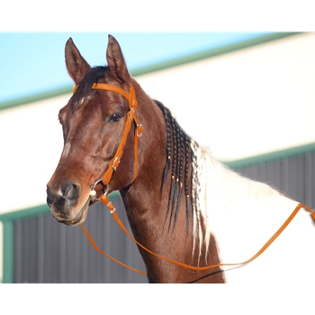 ORANGE WESTERN BRIDLE (Full Browband) made from BETA BIOTHANE 