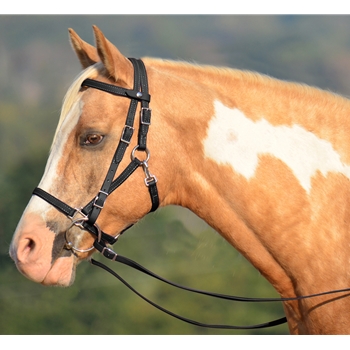 Quick Change HALTER BRIDLE with Snap on Browband made from LEATHER