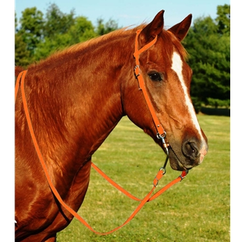 ORANGE WESTERN BRIDLE (One Ear or Two Ear Split Ear Browband) made from BETA BIOTHANE 