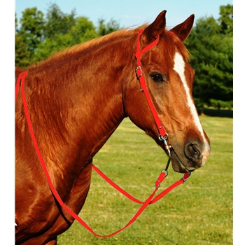 RED WESTERN BRIDLE (One Ear or Two Ear Split Ear Browband) made from BETA BIOTHANE 