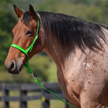  LIME GREEN Western NOSEBAND & TIE DOWN made from BETA BIOTHANE