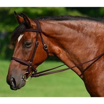 BROWN ENGLISH CONVERT-A-BRIDLE made from BETA BIOTHANE 