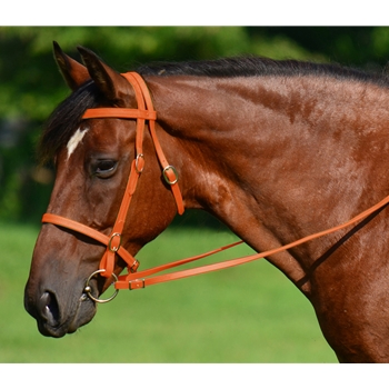 ORANGE ENGLISH CONVERT-A-BRIDLE made from BETA BIOTHANE 