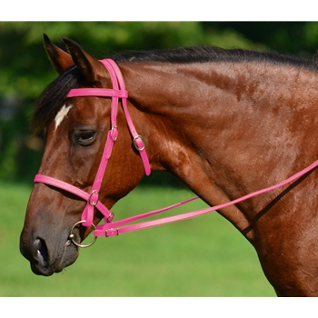 PINK ENGLISH CONVERT-A-BRIDLE made from BETA BIOTHANE 
