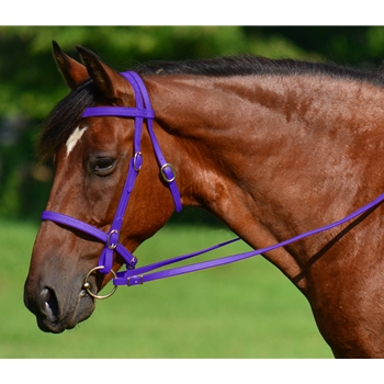 PURPLE ENGLISH CONVERT-A-BRIDLE made from BETA BIOTHANE 