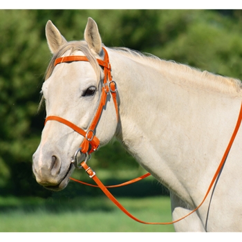 ORANGE PICNIC BRIDLE or SIMPLE HALTER BRIDLE made from Beta Biothane