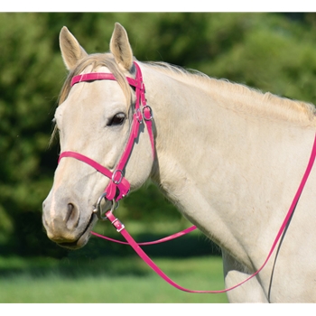 PINK PICNIC BRIDLE or SIMPLE HALTER BRIDLE made from Beta Biothane