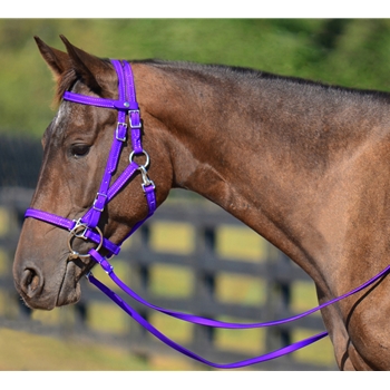 PURPLE Quick Change HALTER BRIDLE with Snap on Browband made from BETA BIOTHANE 
