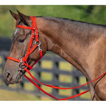 RED Quick Change HALTER BRIDLE with Snap on Browband made from BETA BIOTHANE 