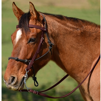 BROWN Snap on Browband WESTERN BRIDLE made from BETA BIOTHANE
