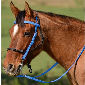 LIGHT BLUE Snap on Browband WESTERN BRIDLE made from BETA BIOTHANE