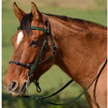 HUNTER GREEN Snap on Browband WESTERN BRIDLE made from BETA BIOTHANE