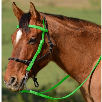 LIME GREEN Snap on Browband WESTERN BRIDLE made from BETA BIOTHANE