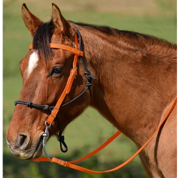 ORANGE Snap on Browband WESTERN BRIDLE made from BETA BIOTHANE