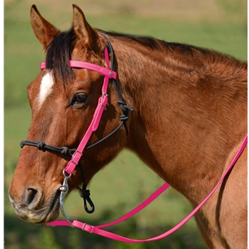 PINK Snap on Browband WESTERN BRIDLE made from BETA BIOTHANE