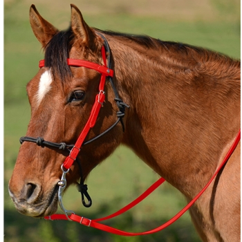 RED Snap on Browband WESTERN BRIDLE made from BETA BIOTHANE