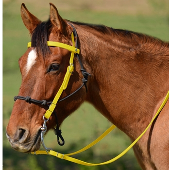 YELLOW Snap on Browband WESTERN BRIDLE made from BETA BIOTHANE