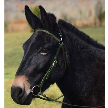 HUNTER GREEN MULE BRIDLE made from BETA BIOTHANE