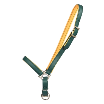 GROOMING HALTER & LEAD made from BETA BIOTHANE (Solid Colored)