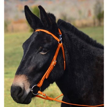 ORANGE MULE BRIDLE made from BETA BIOTHANE