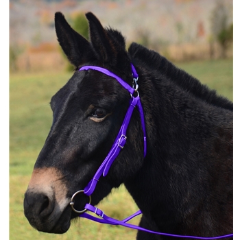 PURPLE MULE BRIDLE made from BETA BIOTHANE
