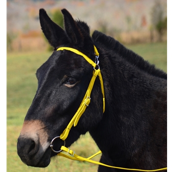 YELLOW MULE BRIDLE made from BETA BIOTHANE