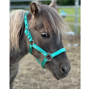 Any Color FIGURE 8 Style FOAL HALTER made from BETA BIOTHANE (Solid Colored)