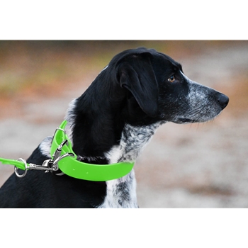 HUNT DOG COLLAR made from BETA BIOTHANE (Solid Colored) 