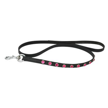 DOG LEASH made from BETA BIOTHANE (Solid Colored)