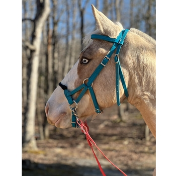 Beta Biothane Sidepull Bitless Bridle with Rope Noseband | Two Horse Tack