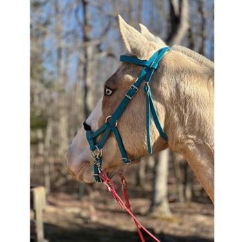 Driving Bridle Shetty With And WITHOUT Blinkers - Foto 12