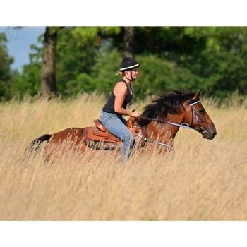 WESTERN BRIDLE (Full Browband) made with REFLECTIVE DAY GLO Biothane