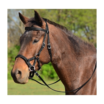 COB SIZE Sidepull Bitless Bridle made from BETA BIOTHANE